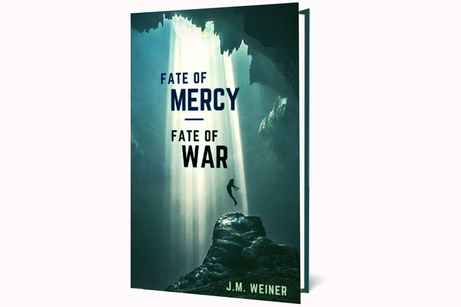 fate of mercy fate of war j m weiner