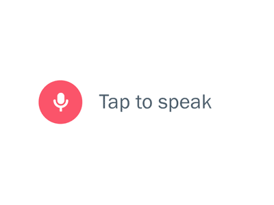 voice search voice search optimization