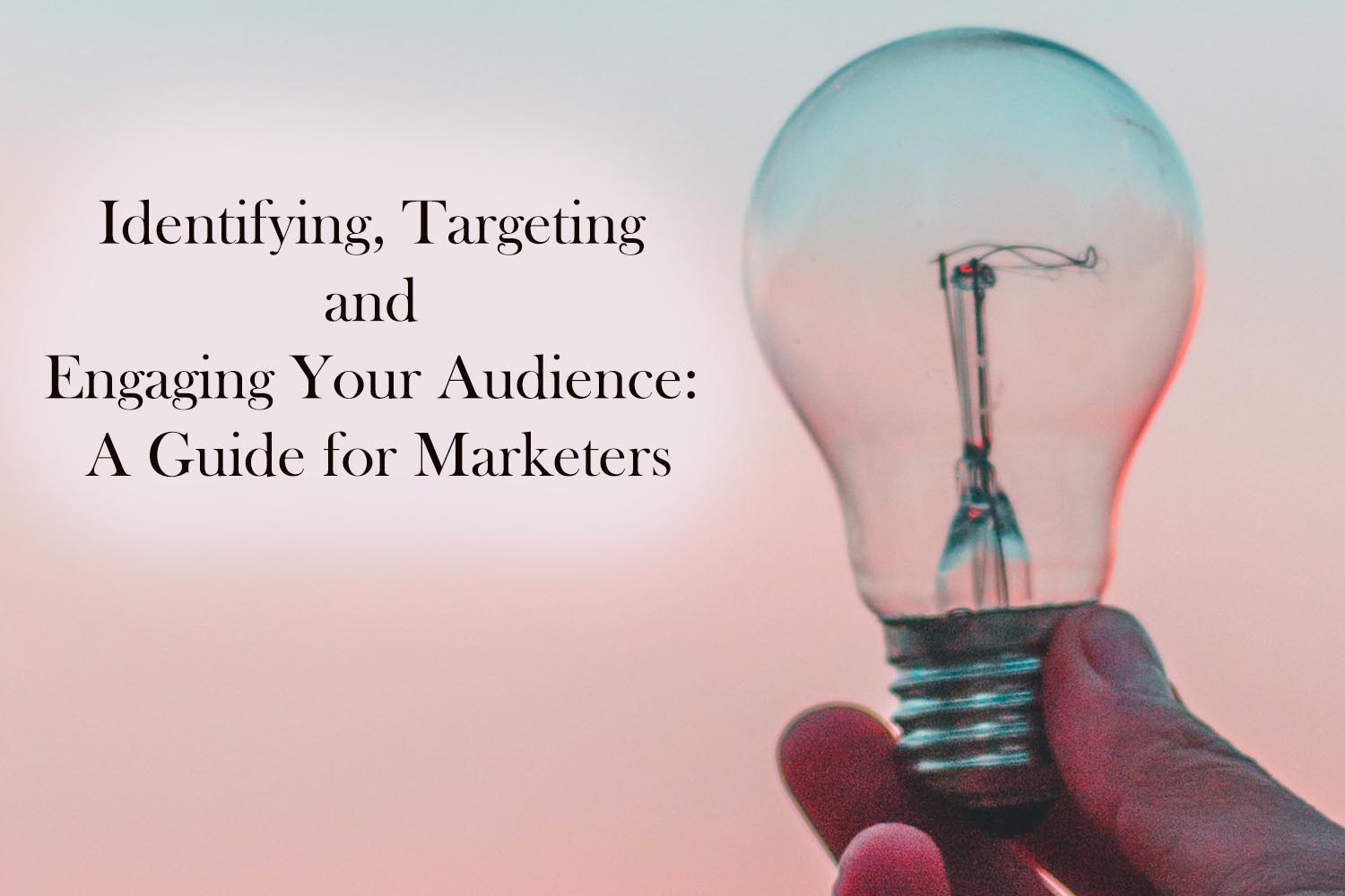 Identifying, Targeting and Engaging Your Audience