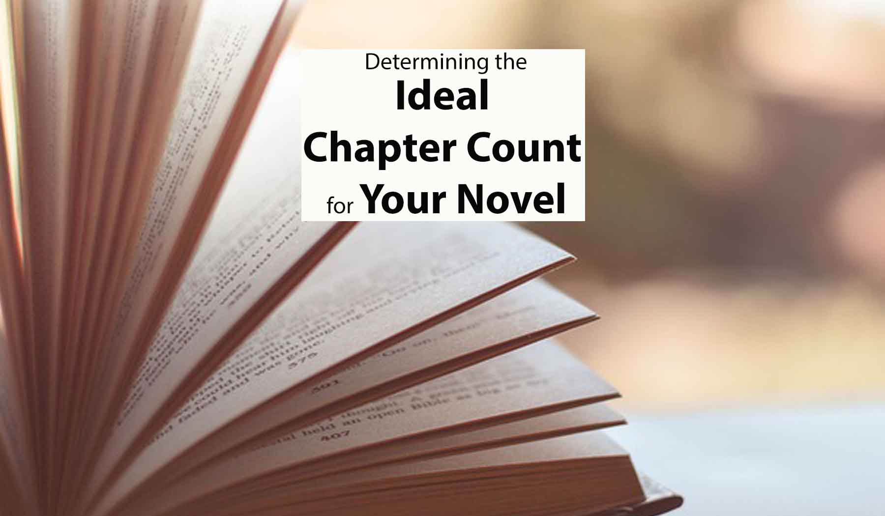 Determining the Ideal Chapter Count For Your Novel